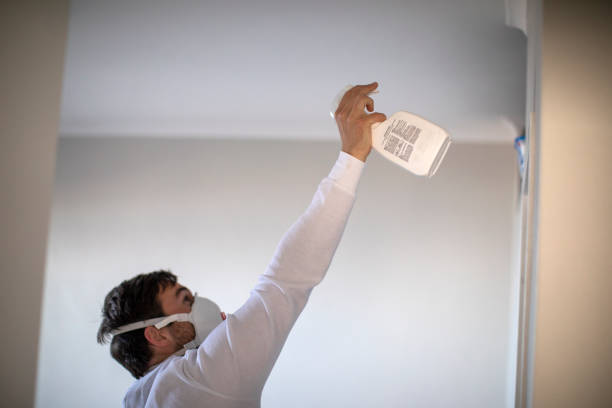 Best Residential Mold Removal  in New Boston, TX