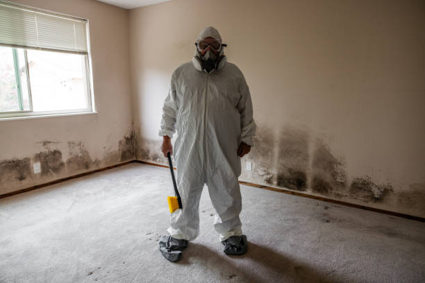 Best Mold Cleaning Services  in New Boston, TX